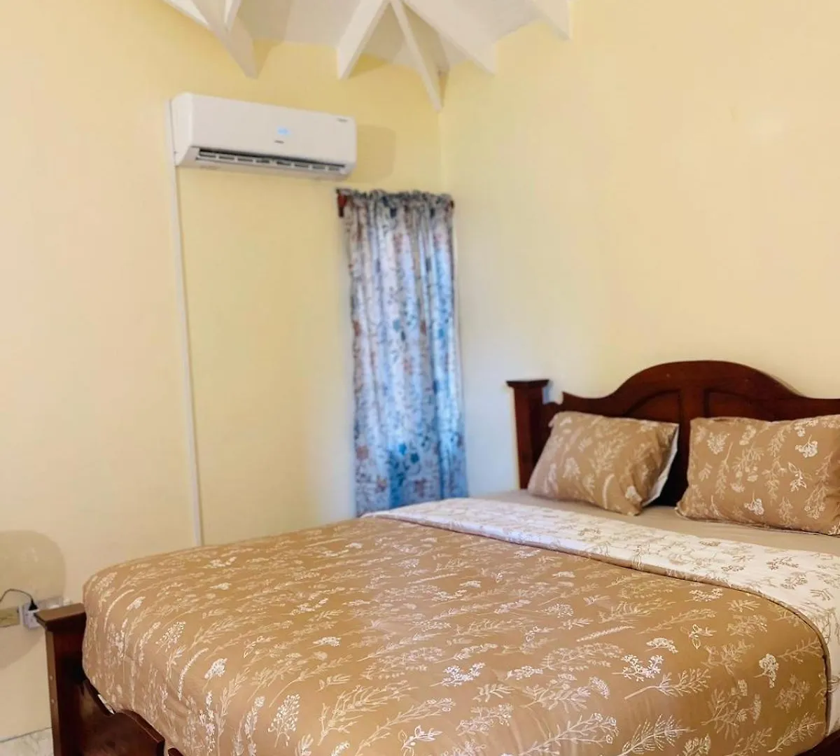 Castle Berry Apartments Kingstown